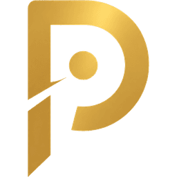Precision InfoTech